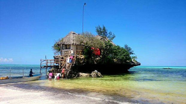 Са бебом и у тропске шуме